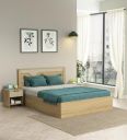 Spacewood Rivolla Bed |Queen Size (78 X 60) Engineered Wood Bed with Box Type Storage| 3 Year Warranty | Modern Design |Engineered Wood | Santana Oak & Bamboo Flute...