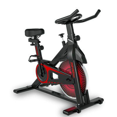 SPARNOD FITNESS SSB-10 Spin Bike Exercise Cycle