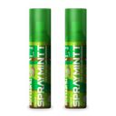Spraymintt Mouth Freshener | 175+ sprays of instant long lasting with Zero Calories Freshness | Saunfshiver flavour | 15g - pack of 2...