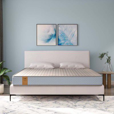 Springwel easy TruComfort Pro 6 inch Latex foam Twin Size Mattress | Medium Firm (Size- 84x48x6 inches)