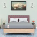 Spyder Craft - Premium Dual Sided High Density Foam Mattress with Firm & Medium Soft Sides | 10- Year Warranty | 4-Inch Bed Mattress | 72x36x4 (Single Bed Size Mattress)...