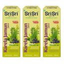 Sri Sri Tattva Karela Jamun Juice - Ayurvedic Juice to Help Maintain Healthy Sugar Levels - 100% Natural - No Added Sugar - 500ml (Pack of 3)...