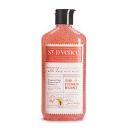 St. D’vence Citrus Burst Salicylic Acid Body Wash Shower Gel with Grapefruit & Vitamin C | Body Wash For Men & Women | Deep Cleansing, Exfoliating Body Wash, Paraben & SLS Free | Prevents Body & Back ...