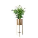 STAND MASTER Golden Color Metal Flower Pot with Modern Style Tri Leg Stand for Indoor and Outdoor Pot Holder in Small Size (Small Planter-1)...