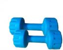 Starx Plastic Xpvc Dumbbell Set Adult 1Kg Set of 2 (Blue)...