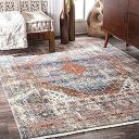 Status Contract Rugs for Living Room|(3x5ft) Printed Carpet for Living Room Decor|Anti Skid Backing Home Essentials (Vintage 413)...