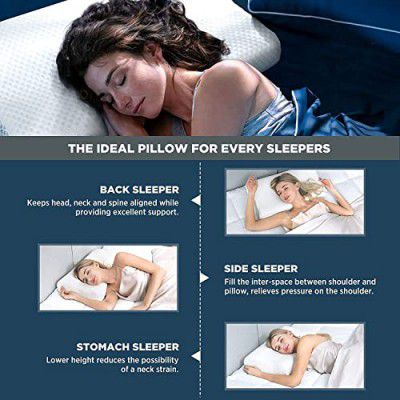 STATUS Memory Foam Pillow for Sleeping,Orthopedic Refill Pillow Neck Pain Pillow Filter (Multi) | Soft Yet Supportive| Suitable for Side & Back Sleepers | (Contour, Standard 1pc)