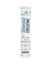 Steadfast Nutrition SteadCreatine | Creatine Monohydrate | The Energy Maximiser | Energy Booster | Pre Workout | 20 Effervescent Tablets per Tube (Lemon-mint, Pack of 1)...