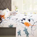 Story@Home Bedsheet | 186 TC 100% Cotton Bedsheet for Double Bed...