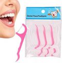 Stylewell Pack of 1 ( 20 Pcs ) Dental Tooth Pick Flossers Cleaners Head Oral Dental Hygiene Brush Tooth Cleaning Tool  (Pack of 20)...