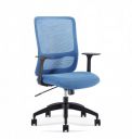 Sunon Office Chair Ergonomic Desk Computer Chair with Fixed Armrest Lumbar Support Adjustable Mid Back for Home Office (Blue, Nylon)...