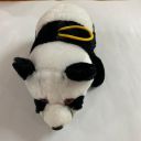 Super Cute and Lovely Panda Teddy Soft Toy...