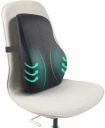 Sleepsia Lumbar Support Memory Foam Orthopedic Back Cushion...
