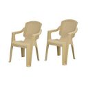 Supreme Furniture Mark Plastic with Arm Chair (Set of 2, Cane)...