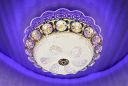 swanart Peacock Round Chandelier Ceiling Light Lamp (Multicolour) (Design 2)...