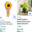 Swiggy Instamart Loot : Flora Bouqets