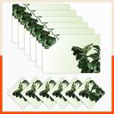 Table Mats by Bathla - Set of 6-45cm x 30cm Table Placemats & Coasters for Home Dining Table | Multipurpose, Heat-Resistant, Waterproof & Washable | Matworks (Java, Polyvinyl Chloride)...