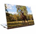 Tamatina Laptop Skins 17.5 inch Nature Rain Deer Jungle Hd Quality...