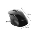 Targus W16 1600 DPI Wireless USB Mouse (AMW615AP, Black)...