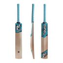 TAURO ZING XL Kashmir Willow Cricket Bat - Full Size SH, for Leather Ball, SH...