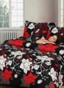 TED BAKER. Microfiber Double Bedsheet (Pack of 1, Black, Double Bedsheet with 2 pillow covers)...