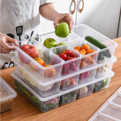 TEX-RO Fridge Storage Boxes, Fridge Organizer With 5 Compartment Fridge Organizer Keeps Fruits, Vegetables, Meat, Fish Fresh Longer (polypropylene)
