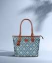 The CLOWNFISH  Blue Women Shoulder Bag...