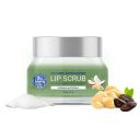 The Moms Co. Exfoliating Lip Scrub Women & Men - Lightening and Brightening Dark Lips - 25 gms...