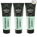 The Mouth Company Classic Herbal Mix Toothpaste 75g, Sensitivity Protection - Pack of 3...