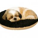 The Pets Company Calming Dog & Cat Bed | (L-22 Inch x B-22 Inch x H-4 Inch), Black & Beige-XS...
