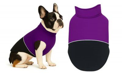 The Pets Company Dog Winter Coat Jacket (Purple Black, Small - Med - 16 Inch)
