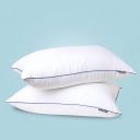 The Sleep Company Plush Pillow | 100% Virgin Microfiber Filling | Hypoallergenic |White, Pack of 2...
