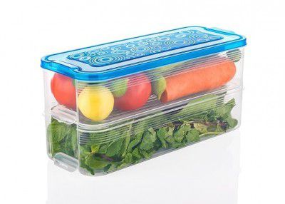THE SR BRAND Sr 2 Fridge Storage Boxes for Vegetables Fridge Organizers Case Refrigerator Containers for Fridge Plastic Fridge Storage Boxes Set for Fish,Meat,Sea Food(2 Pcs,Multicolor),Blue-Violet