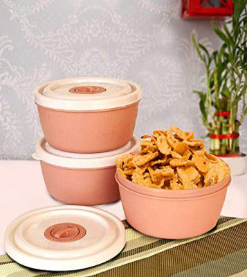 TIED RIBBONS Set of 3 Airtight Plastic Containers with Lid- -700ml Lunch Box
