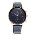 Titan Analog Blue Dial Mens Watch-90146WL01...
