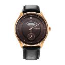 Titan Analog Brown Dial Mens Watch-1890WL01...