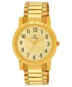 Titan Analog Gold Dial Mens Watch-NL1647YM02...