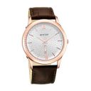 Titan Analog Silver Dial Mens Watch-1824WL02...