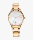 Titan Ladies Purple Wm Analog Watch - For Women 2670WM08...