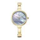 Titan Raga Showstopper Quartz Analog Mother of Pearl Dial Metal Strap Watch for Women-95273YM01...