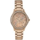 Titan Spring Summer'15 Analog Rose Gold Dial Women's Watch-NL95024WM01/NP95024WM01...