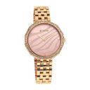 Titan Women Stainless Steel Animalia Analog Rose Gold Dial Watch-95132Wm01/Np95132Wm01, Band Color-Rose Gold...