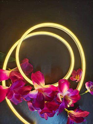 TIVA LED Neon Light Strip 12VDC (Pink,Yellow,RED,Blue,Green,White,Purple-5 Meter,3 Meter,2 Meter) Decorative Light with Adapter (Warm White with Adapter, 5 Meter)