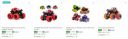  Flipkart : Toy Vehicles Upto 95% Off | Starts At Rs 20...