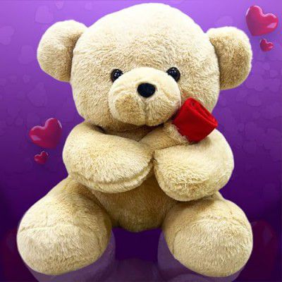 ToyMagic Teddy Bear with Rose - 55 cm