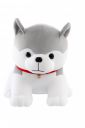 TOYTALES Husky Dog Plush Toy - 25 cm...
