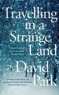 Travelling in a Strange Land  (English, Hardcover, Park David)