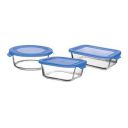Treo by Milton Lexie Borosilicate Starter Kit Sx with Lid Set of 3 (Sqr 320 ml + Rnd 400 ml + Rect.370 ml), Blue...