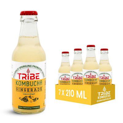 Tribe Kombucha | Weight Management - Detox -  | Pack of 7 |330 ML