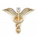 TRIPIN Lapel PIN with Doctor Symbol for Men Women Boys Girls in A Gift Box 2033 (GOLDEN PREMIUM)...